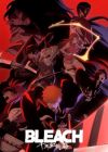 Bleach